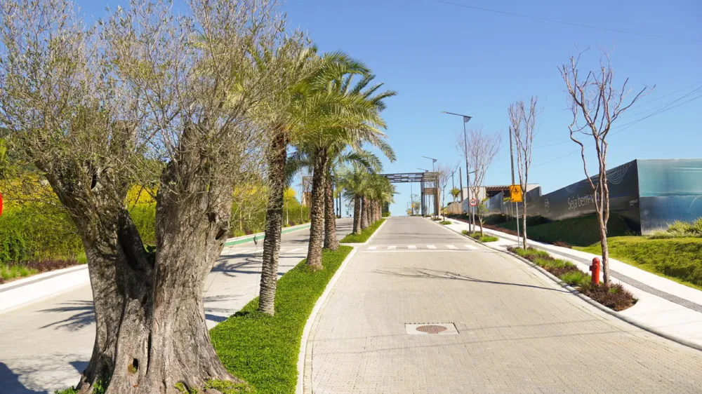Terreno para venda no bairro Várzea do Ranchinho em Camboriú
