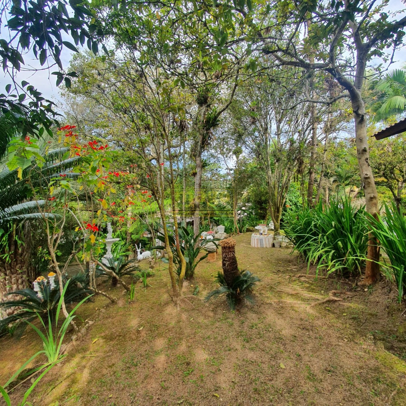 Terreno em Sto Amaro da Imperatriz